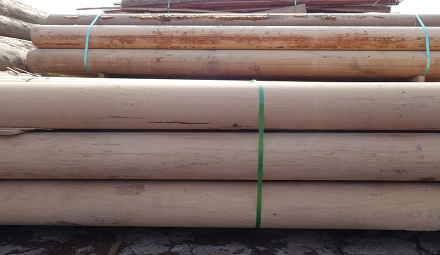 1650851187705654.jpg FILE2277.jpg